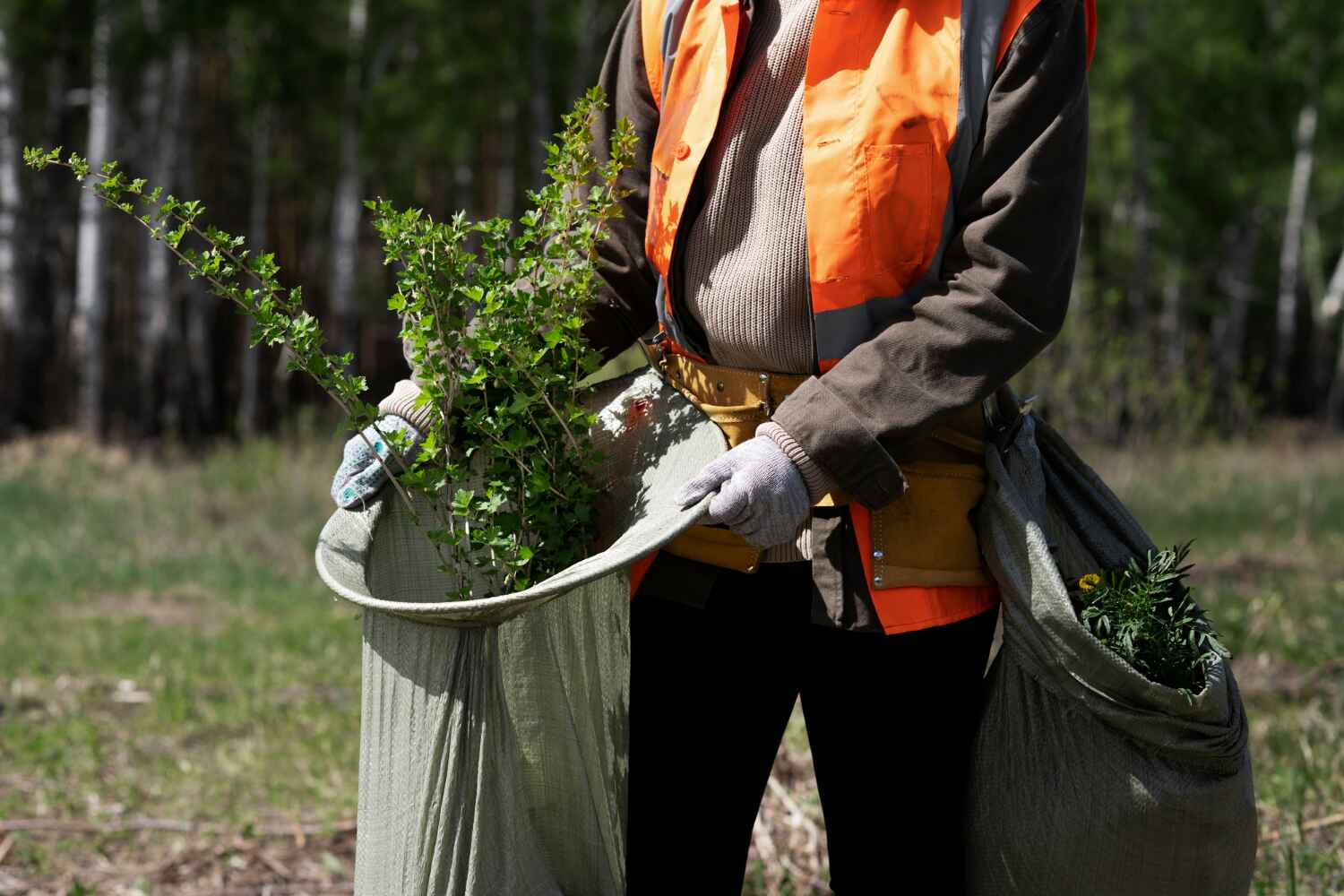 Best Best Tree Removal Services  in USA